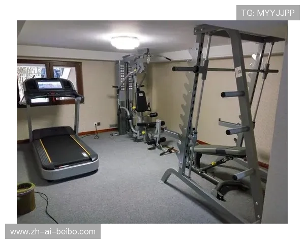 英派斯综合健身器材：英派斯品牌综合健身器材的使用与优势