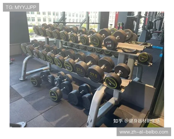 高效健身必备：五大实用型器材性能对比与使用技巧